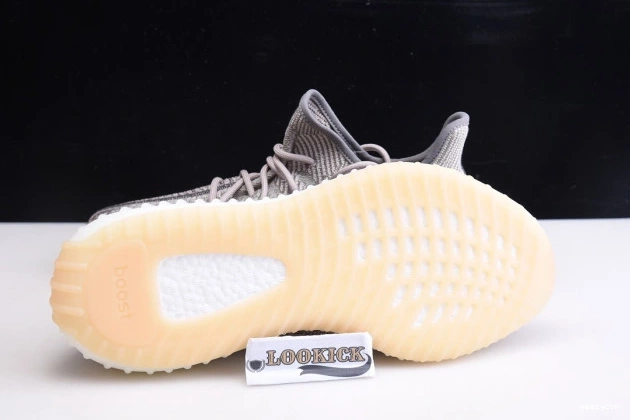 350 Yeezy FZ1267 Boost Zyon Adidas V2 1002